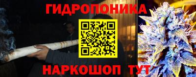 прущие крисы Тверь