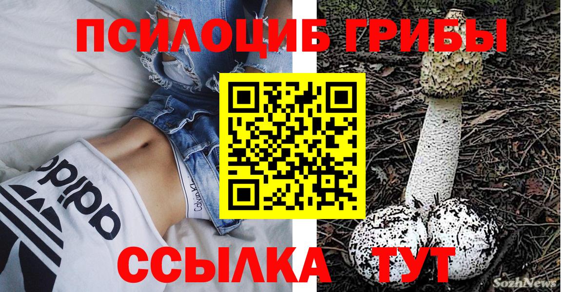 Псилоцибиновые грибы ЛСД Можга